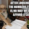 No way we can afford a cat.