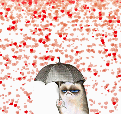 Unhappy Valentine's Day from Grumpy Cat