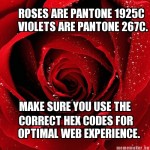 Pantone valentines day card