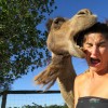 Camel Selfie Gone Wrong