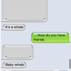 Whale Friend